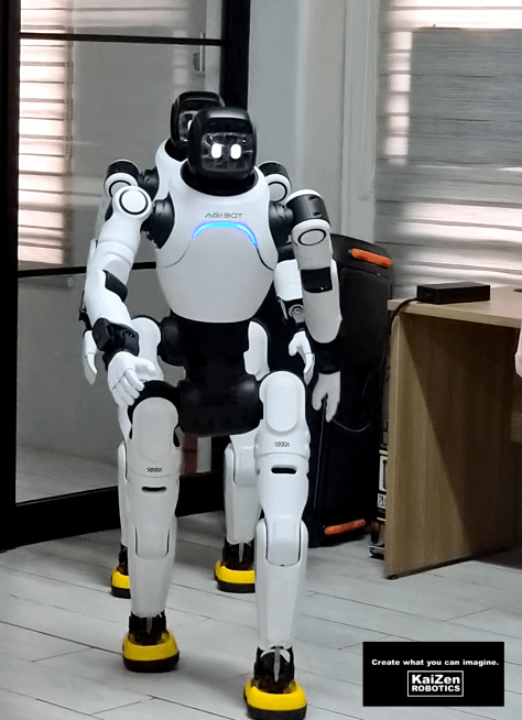 Humanoid Robots