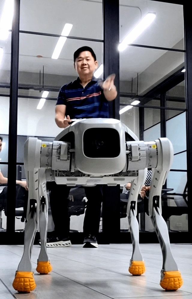 Quadruped Robots
